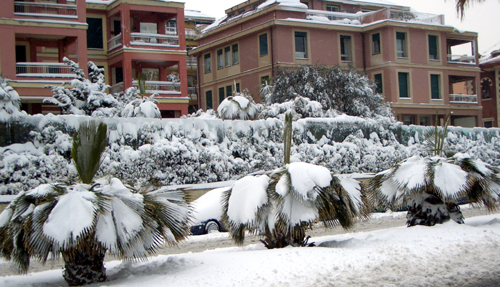 Genoa snowstorm, March 2005