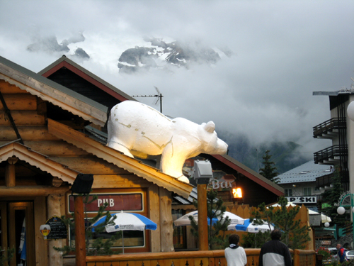 Snow bear
